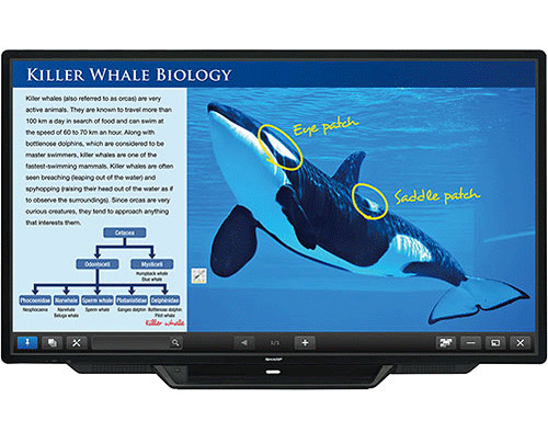 80 Inch Touch Screen Monitor Rentals